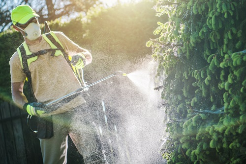 So-Called ‘Safe’ Pesticides Could Still Hurt Some Honey Bees