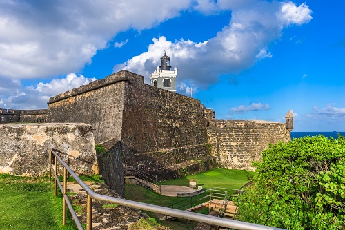 Does Puerto Rico Hold the Key to Saving Honey Bees?