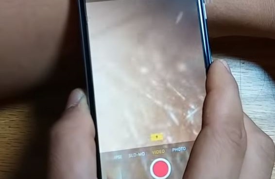 Cell Phone Microscope Finds Silent Honey Bee Killer