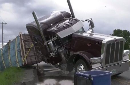 Millions of Honey Bees Amazingly Spared in Accident