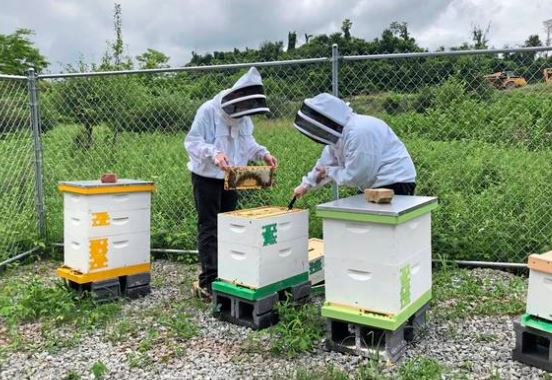PA High School Adding Apiary for Students