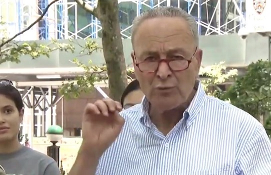 Chuck Schumer Goes to Bat for Honey Bee Surveys