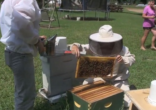 William & Mary University Incorporating Honey into Dining Services for Students