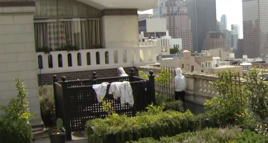 Hotels Doing Their Part to Save Honey Bees