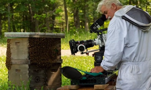 New Film Documentary Examines Plight of Honey Bee