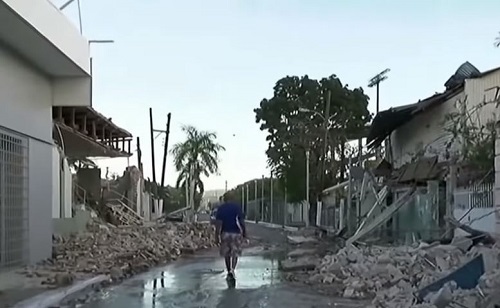 Bees Fleeing Puerto Rico Post-Earthquake