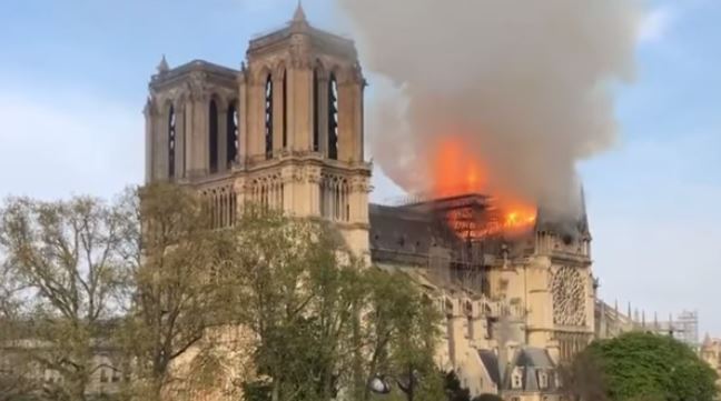 Notre Dame Bees 'Miraculously' Survived