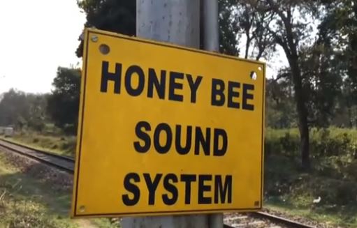 Indian Railway Company Using Honey Bee Sound System to Keep Elephants Away from Tracks