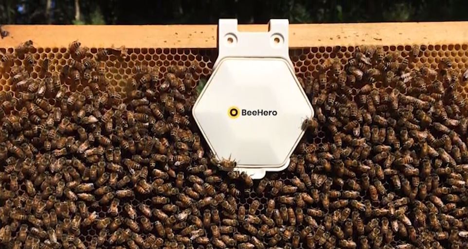 BeeHero Introduces Smart Hives to Improve Honey Bee Health and Increase Crop Yields