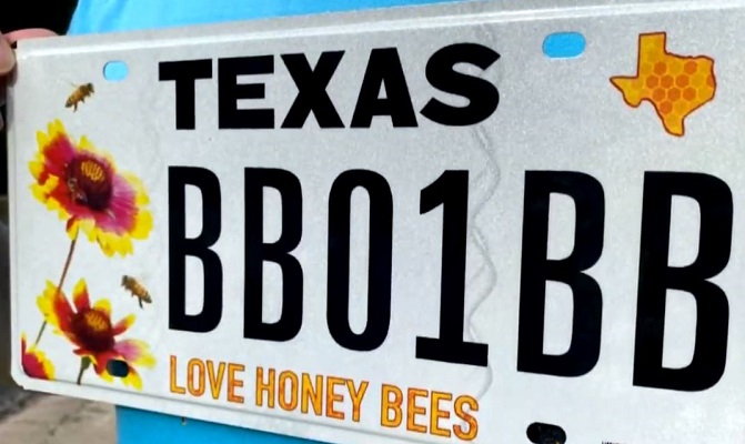 Texas Officially Launches Honey Bee License Plates